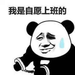  深圳一网红公园惊现巨蟒三四米长有成人小腿粗