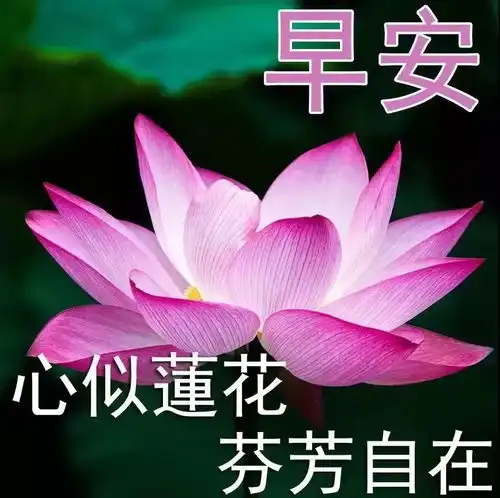 最新早安问候祝福图片带字温馨,清晨到,对着镜子笑一笑  最新早安问候祝福图片带字温馨,清晨到,对着镜子笑一笑