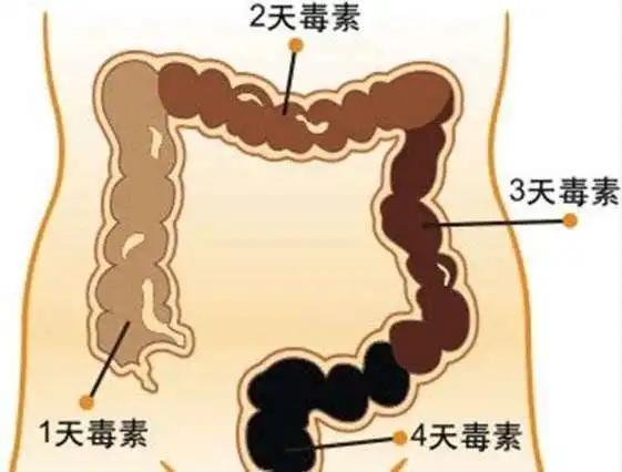  冬天便秘怎么回事啊,18种缓解便秘的食物