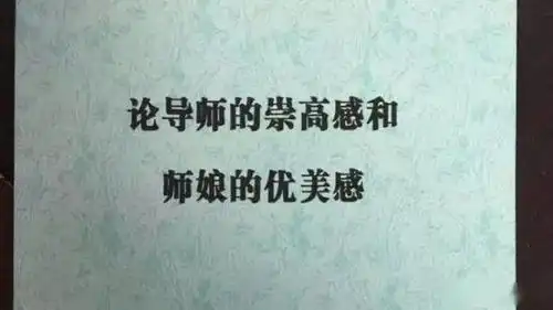 论文图片搞笑师娘