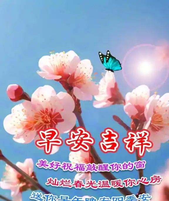  与众不同的早安问候语早安祝福图,温馨而漂亮