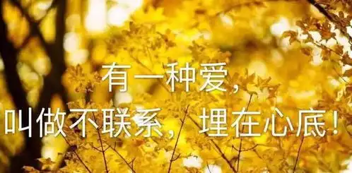  活着,就要善待自己,别跑到别人的生命里当插曲