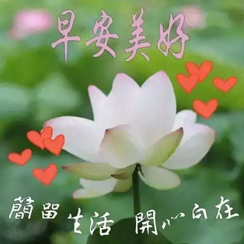  微信早安问候语录图片最新版清晨祝福语暖心句子送给你