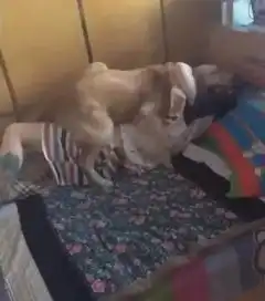 睡觉图片搞笑 表情女主