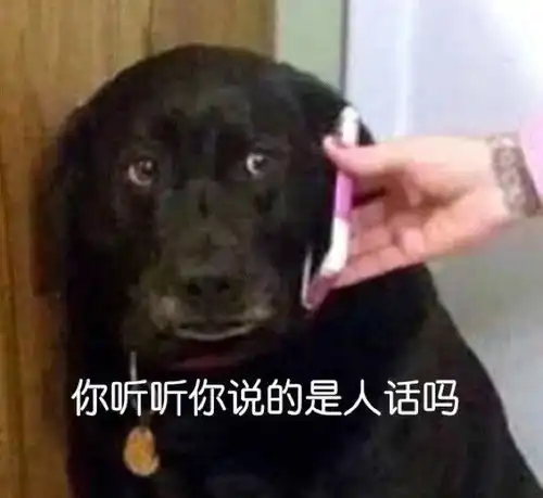  可爱又沙雕的说说文案