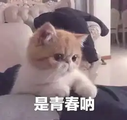 定格瞬间寝室映像活动通知 定格瞬间寝室映像活动通知