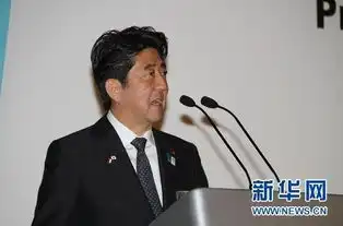  安倍政府说一套做一套受邻国质疑