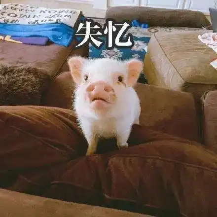  绝育时,演戏给猫猫看有用吗演技差怎么办