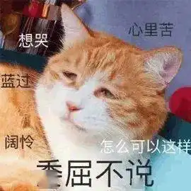  10月31日雅思考试回忆听力又送走了一大片雅思打工人