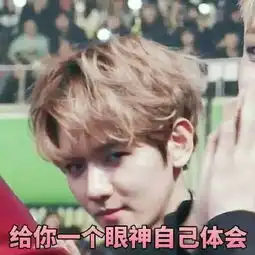  exo边伯贤带字搞笑表情包大全略略略