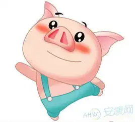  1983属猪的人2016年运程大全及破解