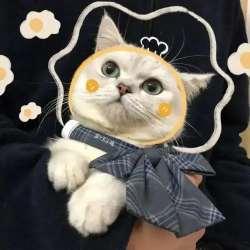 搞怪头像可可爱爱  搞怪头像可可爱爱