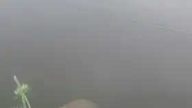  带孩子去公园里玩,路上水沟里遇见一条水蛇,小孩没见过蛇要去抓