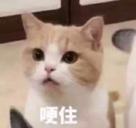  漂亮姐姐鲜肉弟弟,宋茜新剧太让人上头了
