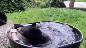  你是来学游泳的