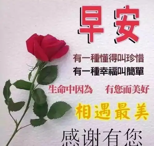 新年祝贺词,冬季早上好问候语幽默,早上好表情美图  新年祝贺词,冬季早上好问候语幽默,早上好表情美图