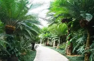  国内的小泰国,环境清幽独具异域风情,内置铜像有特殊含义