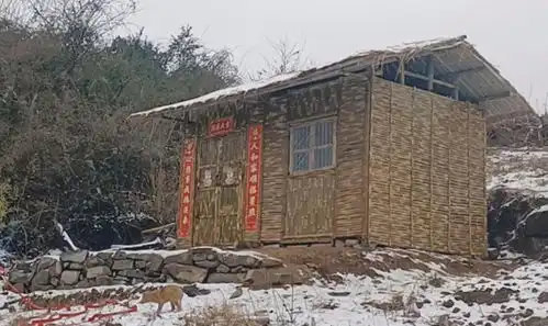 一场大病后,我来到深山生活,没想到一个空木桶带来8万多元收入  一场大病后,我来到深山生活,没想到一个空木桶带来8万多元收入