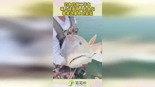  钓鱼钓到二手鱼,嘴上挂着别人的鱼钩,看来这条鱼也挺猛