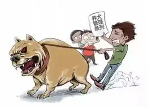  新规违规坝坝舞最高罚款2000元,还有这些雷区要注意