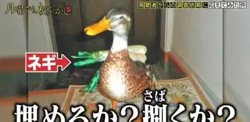  日本老奶奶在宠物鸭面前手刃同类,惹网友爆笑鸭力好大啊