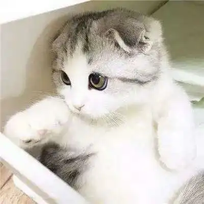 越闹越大河北突发洪水,当地居民坐地开价30万撤离费,否则不走 越闹越大河北突发洪水,当地居民坐地开价30万撤离费,否则不走