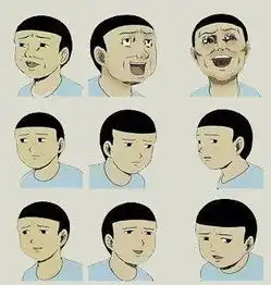  这个表情叫什么