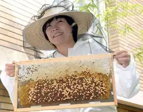  安倍最近过得很闹心,都是因为这两个女人