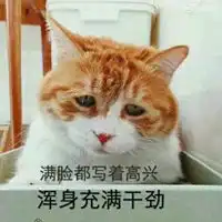  忧伤猫的图片搞笑忧伤猫咪带字图片大全