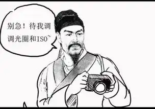  古文诗词被滥用是一种什么样的感觉