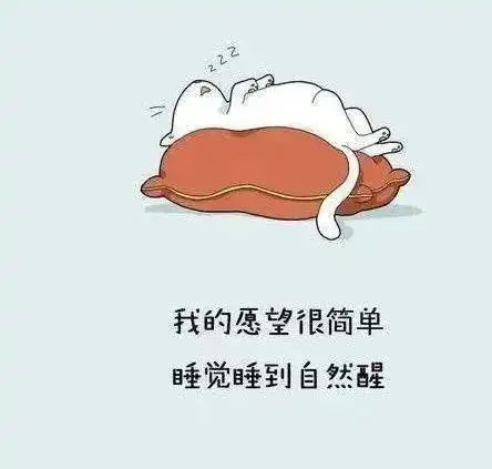  扬工小伙伴,辞旧迎新,与美好一路同行