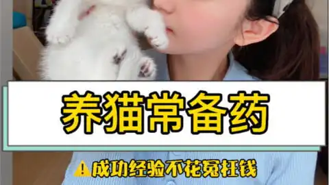  生七只小猫的猫妈得了猫鼻支,坚持吃药,五天痊愈,现在很健康