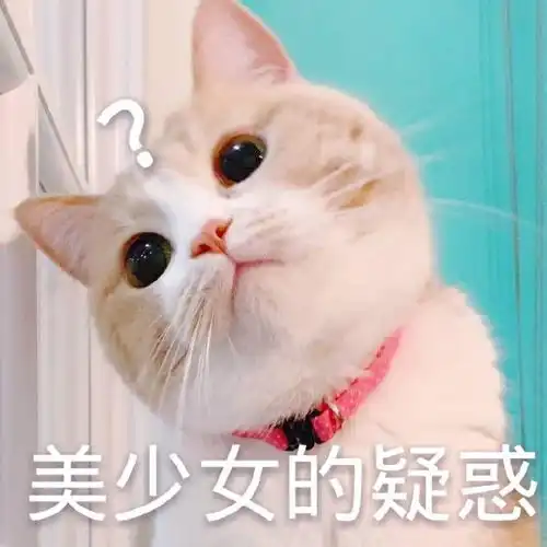  每日搞笑一本正经爆笑的沙雕段子