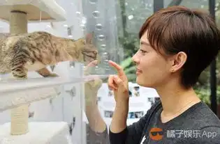  孙俪爱猫的女人运气不会太差