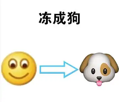  与冷有关的表情包