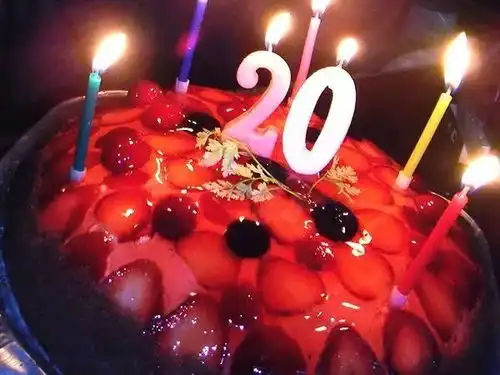 日本爸妈儿啊,20岁生日快乐该交房租了  日本爸妈儿啊,20岁生日快乐该交房租了