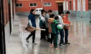 搞笑gif段子哪位大神来给介绍一下,这是什么狗狗  搞笑gif段子哪位大神来给介绍一下,这是什么狗狗