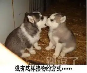动物动态图片搞笑头像