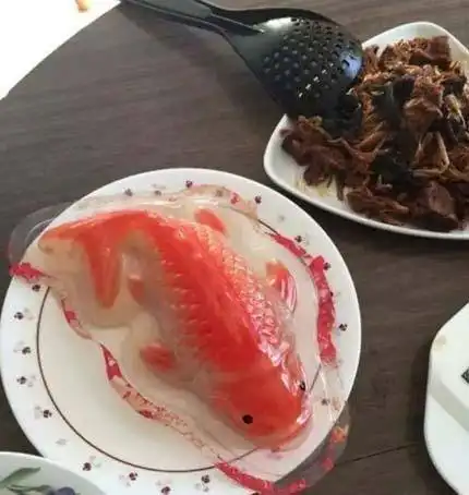  gif搞笑趣图社会人的座驾就应该是这个样子的,不然不符合社会人的气质