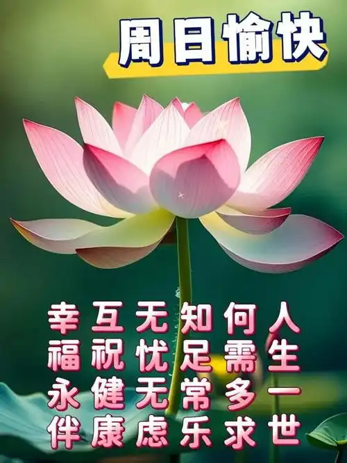  2024年6月23日农历五月十八祝福图片星期日最新问候美图周末愉快