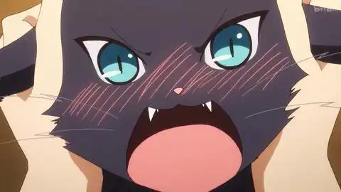  你的猫不会变成美少女