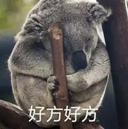  暑假去澳大利亚好玩吗了解一下.