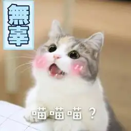  萌宠恶搞带字头像2018最新可爱动物带字头像大全