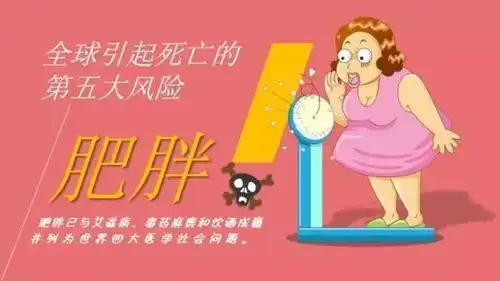  肾病爱胖子最全的减肥养肾知识库
