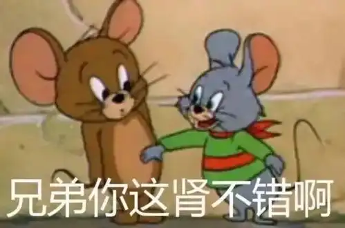  表情包只有这间军大衣还有点人间的温度