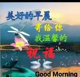 新的一周早上好的问候语动态图片大全  新的一周早上好的问候语动态图片大全