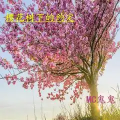  樱花树下的约定mc鬼鬼