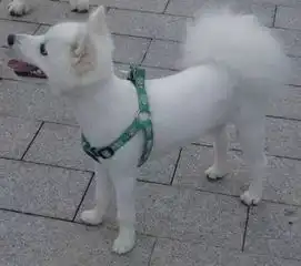  今天小暑,天更热了,发个笑话给大家,放松一下