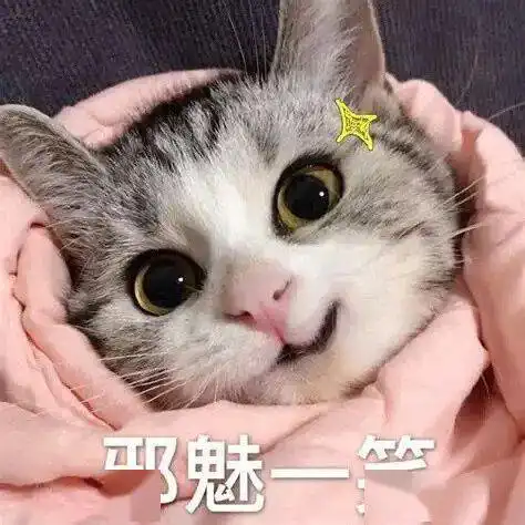  神装秀场上遇见他要小心走过,这位129偃师高致命高伤害法躲也优秀