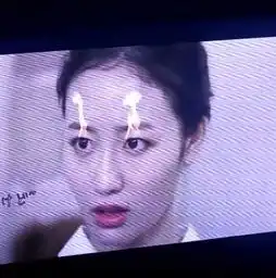  这个女的叫什么名字在防弹少年团日本演唱会搞笑vcr出现的,
